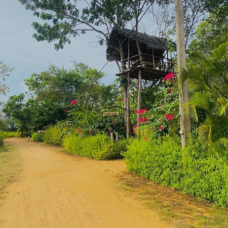 Lucky Villa Sigiriya Exterior photo