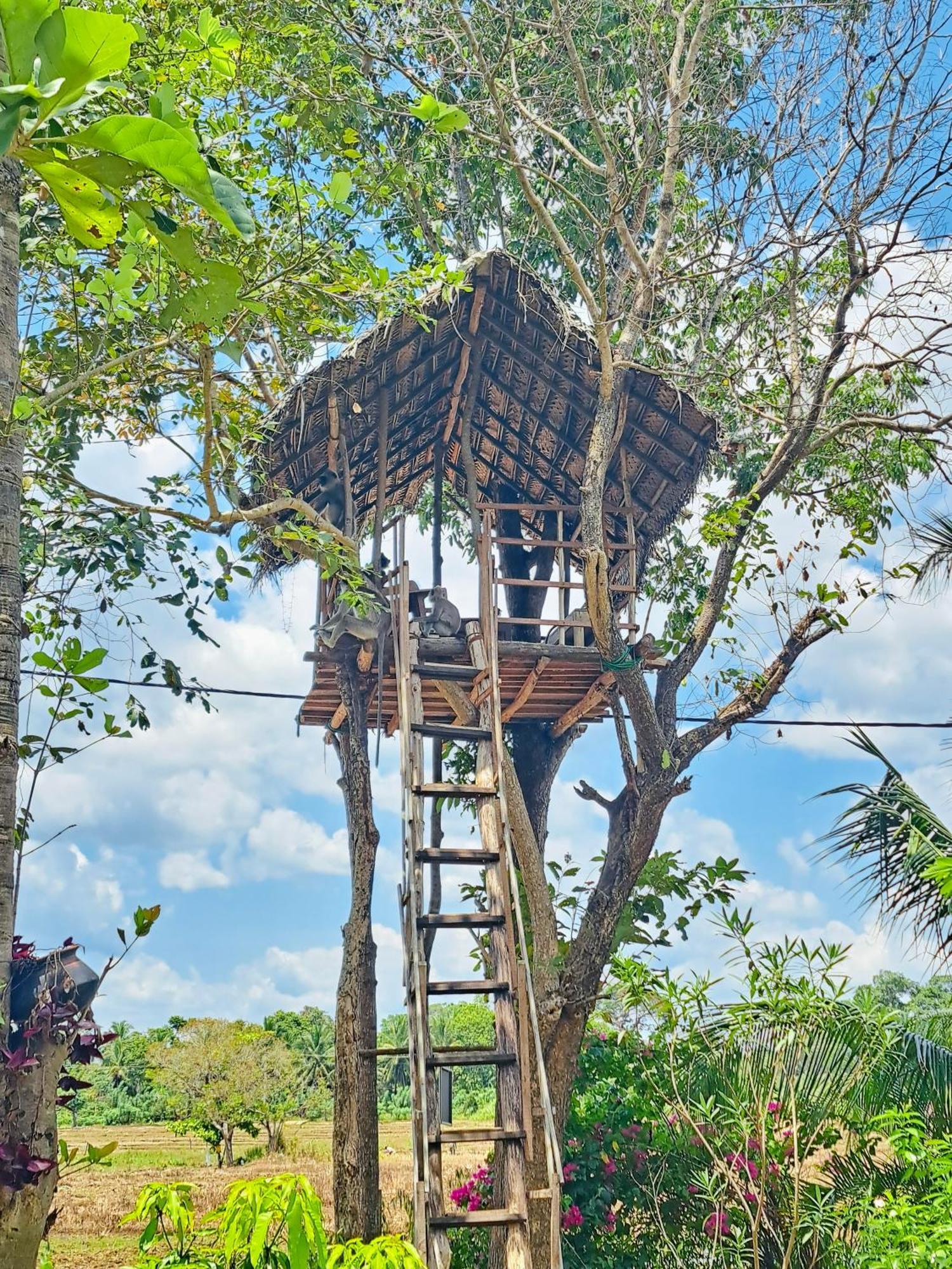 Lucky Villa Sigiriya Exterior photo