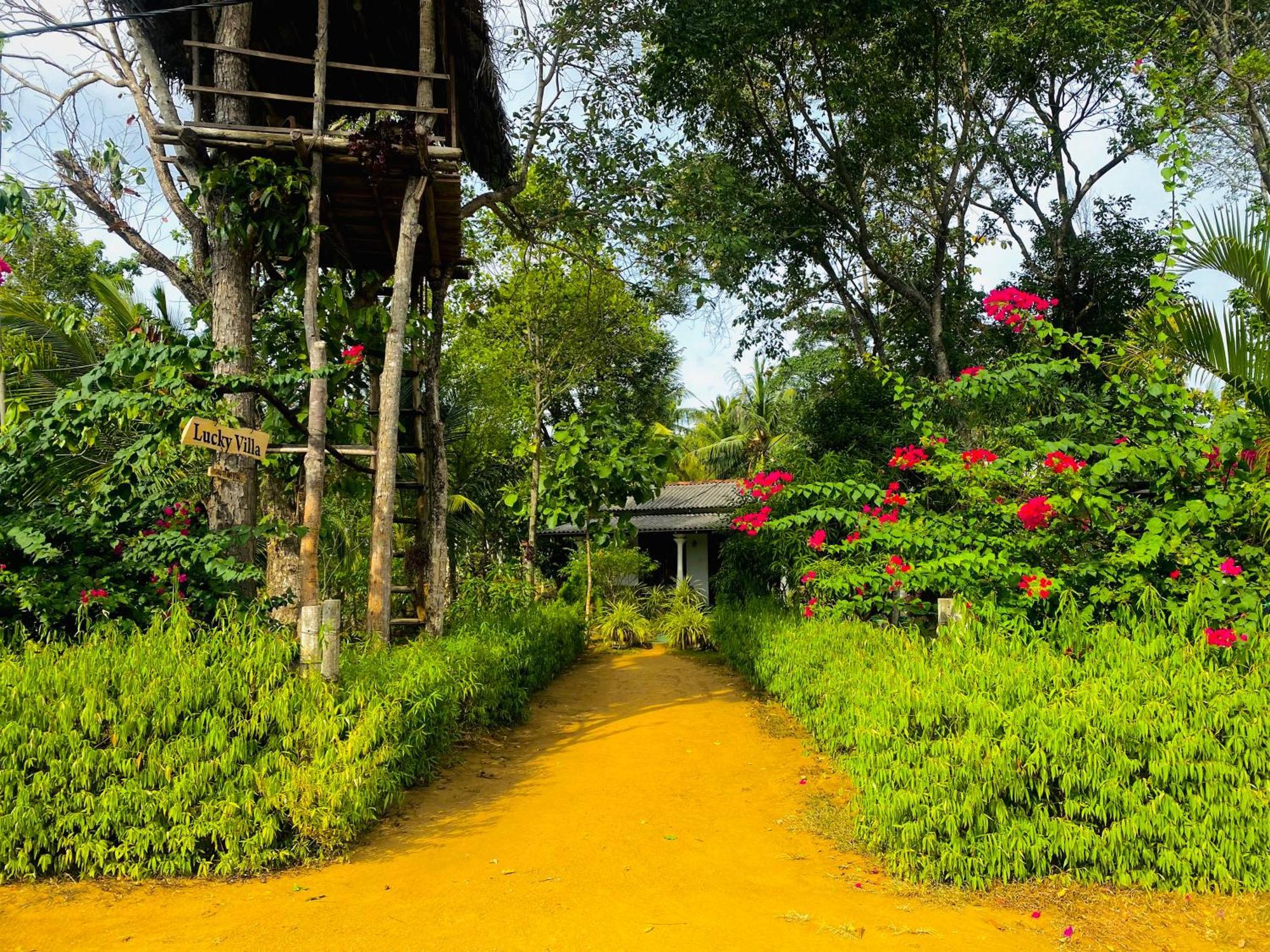 Lucky Villa Sigiriya Exterior photo