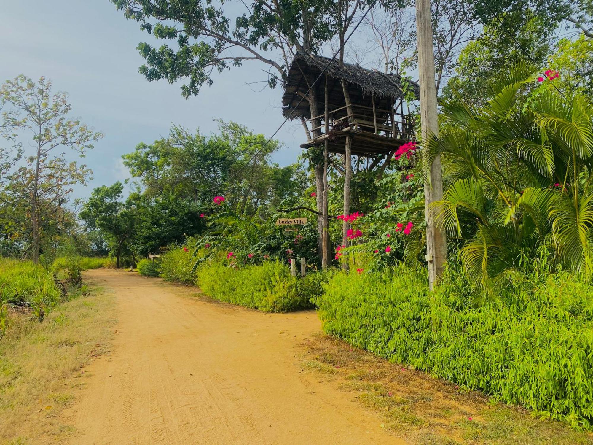 Lucky Villa Sigiriya Exterior photo